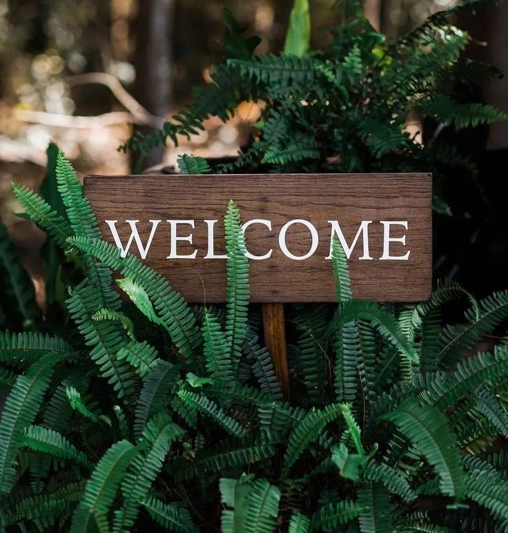 Welcome to ForestHaven!