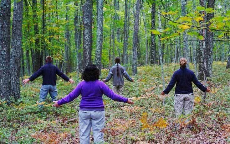 Restoring the Earth’s Heartbeat: Joy Jackman’s Forestland Triumph
