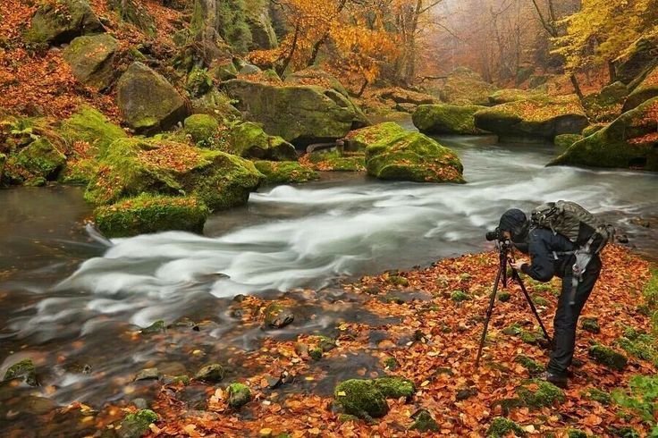 For Forests, Waters, Lands Divine
