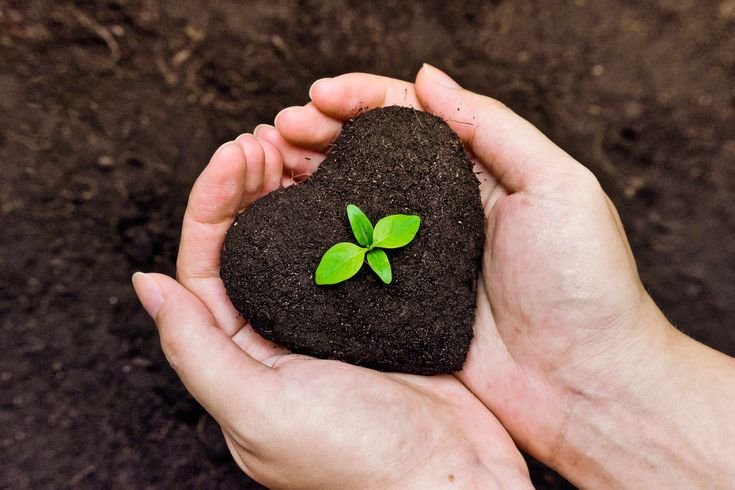 Support the Hands That Guard the Green