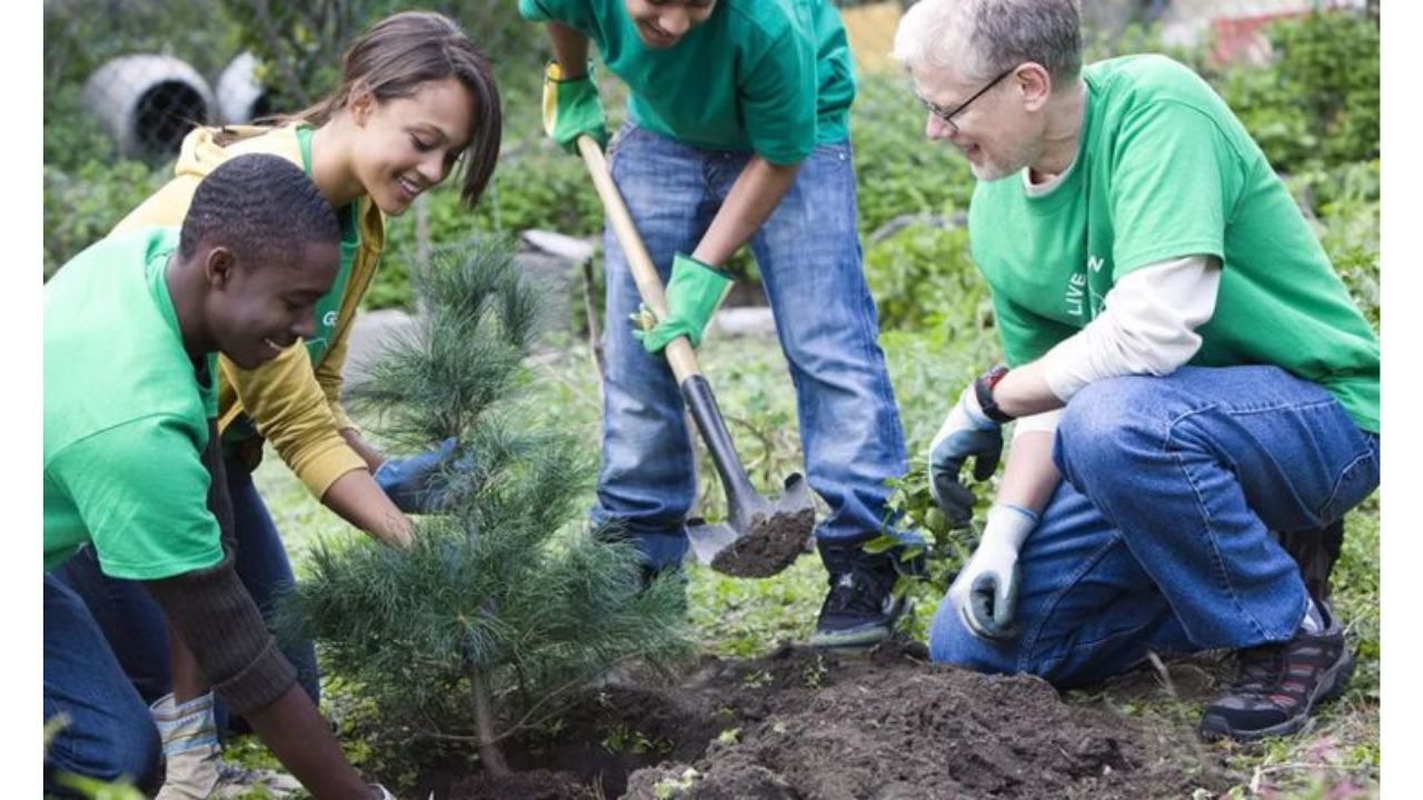 What Trees Do for Us: The Many Ways They Benefit People and the Planet
